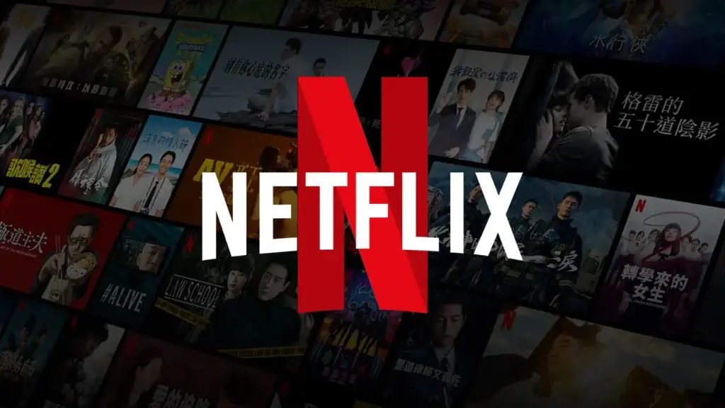Suscripción 6 meses - Netflix